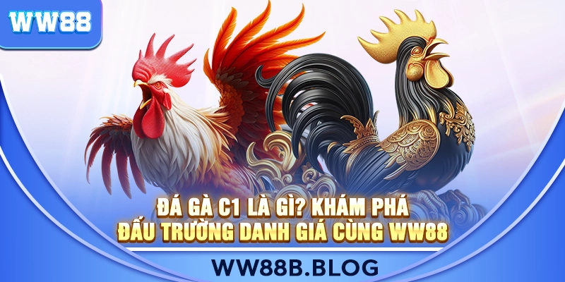 Đá Gà C1 Là Gì? Khám Phá Đấu Trường Danh Giá Cùng WW88