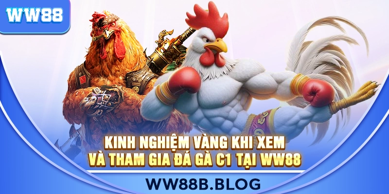 Kinh Nghiệm Vàng Khi Xem Và Tham Gia Đá Gà C1 Tại WW88