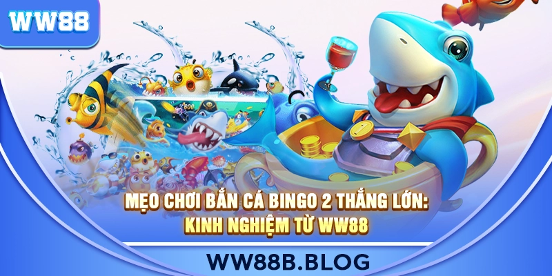 Mẹo Chơi Bắn Cá Bingo 2 Thắng Lớn: Kinh Nghiệm Từ WW88