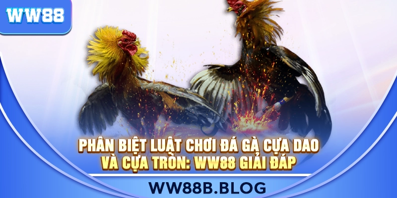 Phân Biệt Luật Chơi Đá Gà Cựa Dao Và Cựa Tròn: WW88 Giải Đáp