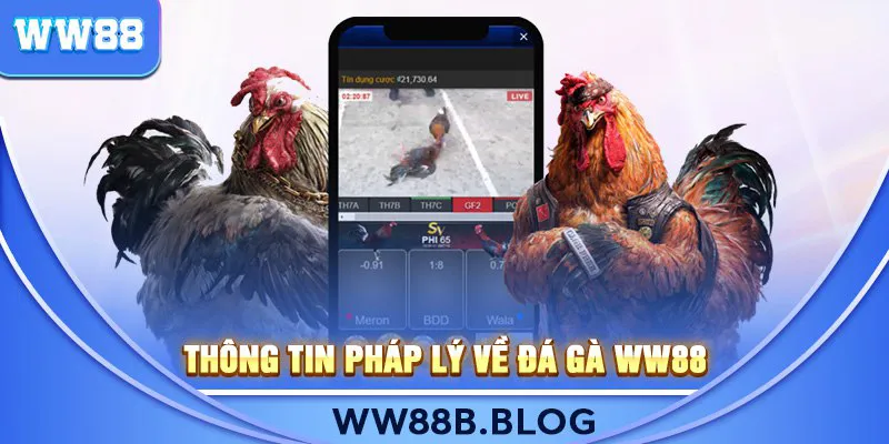 Thông tin pháp lý về Đá Gà WW88